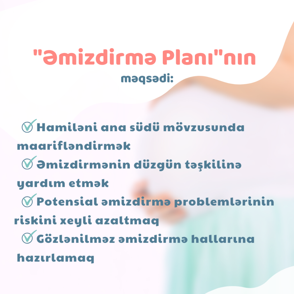 This image has an empty alt attribute; its file name is Emizdirme-plani-2-1-1024x1024.png
